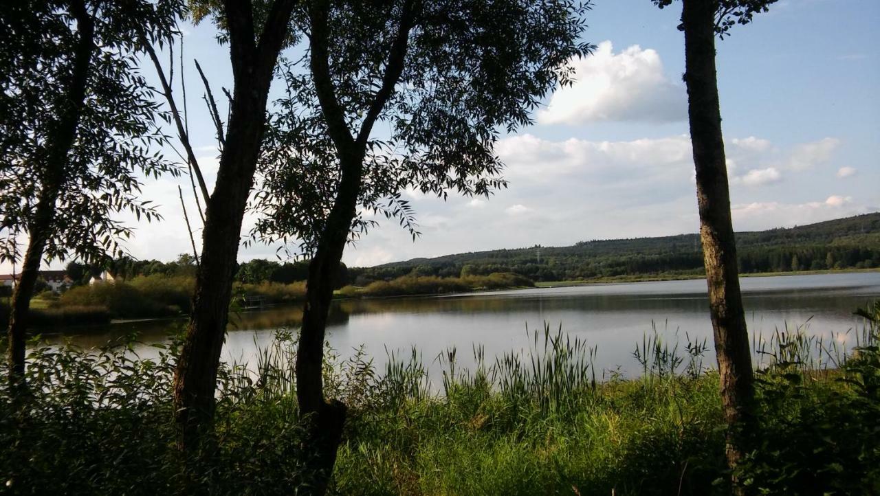 Ferienwohnung In Der Vulkaneifel Ulmen Экстерьер фото